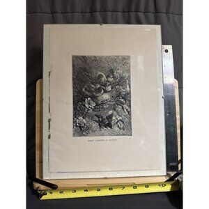 Selmar Hess Publisher N.Y. Birds Art Print Glass Framed 1855 Magazine 14x10”